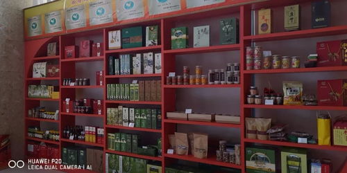 2018年武都區(qū)電子商務亮點工作 大力推進貧困地區(qū)農(nóng)產(chǎn)品上行